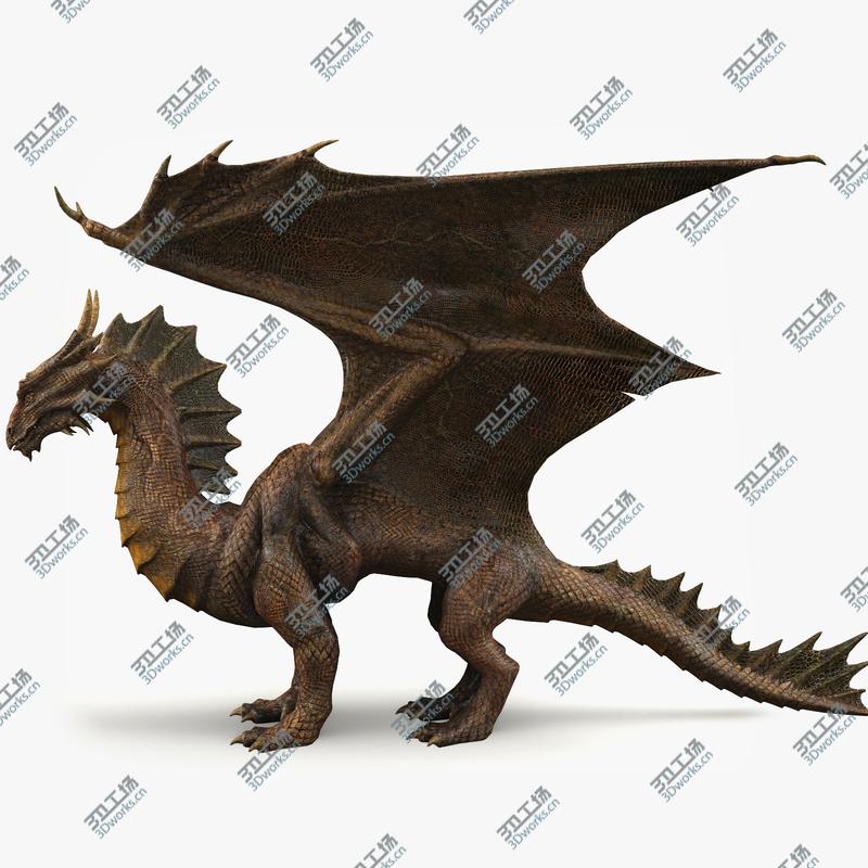 images/goods_img/202105073/Copper Dragon/3.jpg